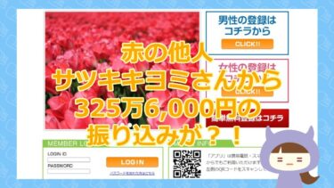 【まじ？ Webダイレクト に325万円の入金通知？！】アプリ｜Webond Marketing Limited【悪質銀行なりすまし詐欺サイト】