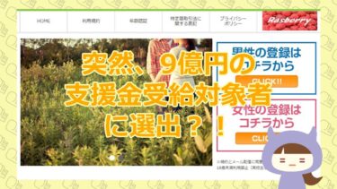 【突然、高倉さんから9億円の支援金が…？！】rasberry（ラズベリー）【悪質支援金詐欺サイト】