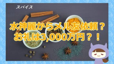 【水神麗から3,000万円の報酬？西園寺美紀からは2億円の強制送金？！】スパイス【悪質支援金詐欺サイト】