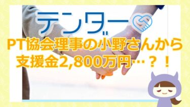 テンダーでPT協会理事・小野から2,800万円分の支援金をGET？！【悪質支援金詐欺サイト】