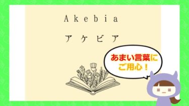 Akebia（アケビア）は支援金詐欺サイト？💰️評判や口コミはどう？！