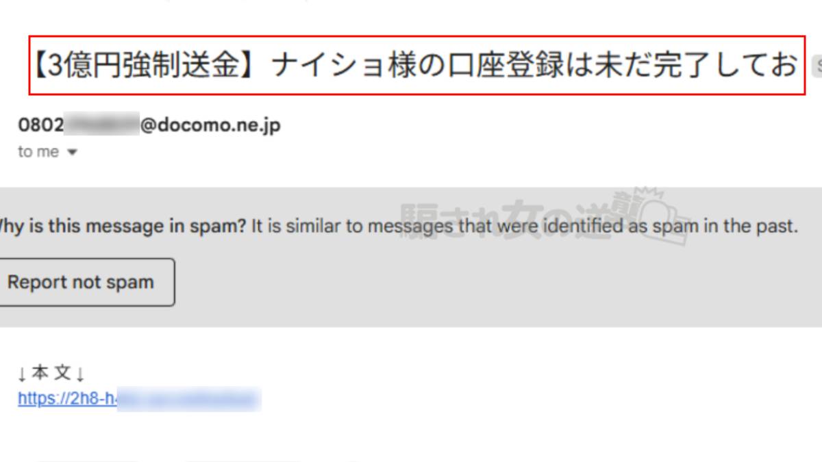 パインから届いた迷惑📩