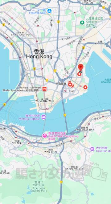 パインの運営会社の地図