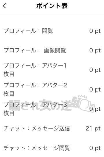 熟年パートナーのポイント表₋2