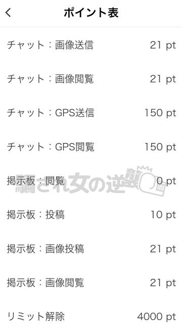 熟年パートナーのポイント表