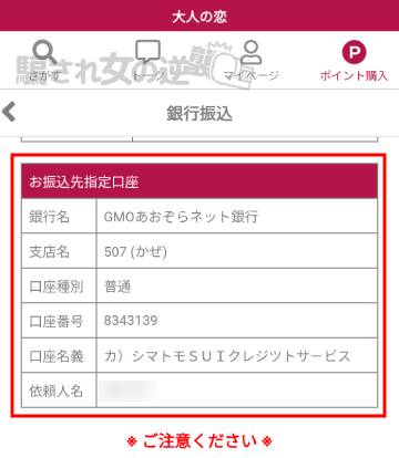 大人の恋の収納代行会社