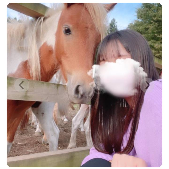 ラブミーのサクラ「まー」