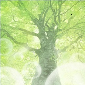 占いプレミアムの鑑定師「御国」