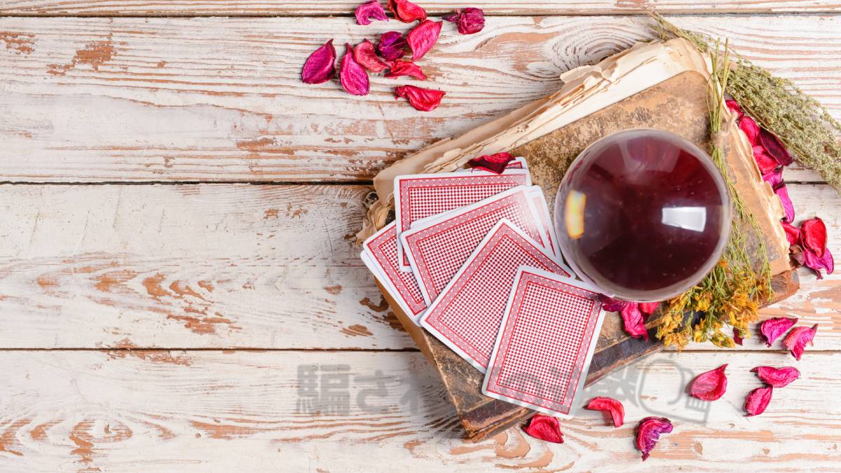 スターゲートのイメージ画像