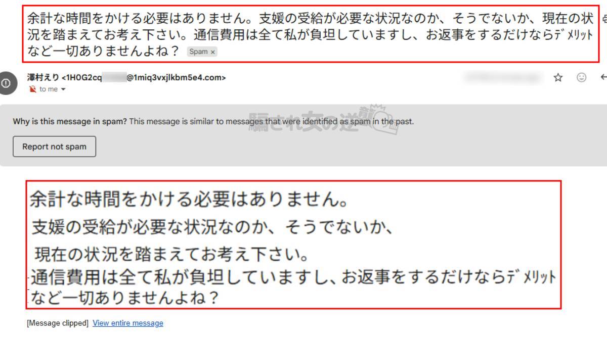澤村えりからの迷惑メール
