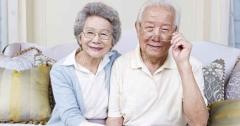 HOPEのサクラ「菊池」