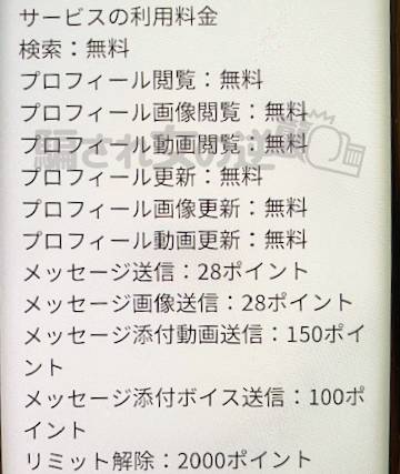 昭和熟年ナイスショットのポイント表