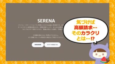 SERENA(セレナ) は支援金詐欺サイト?評判や退会方法を徹底調査💰