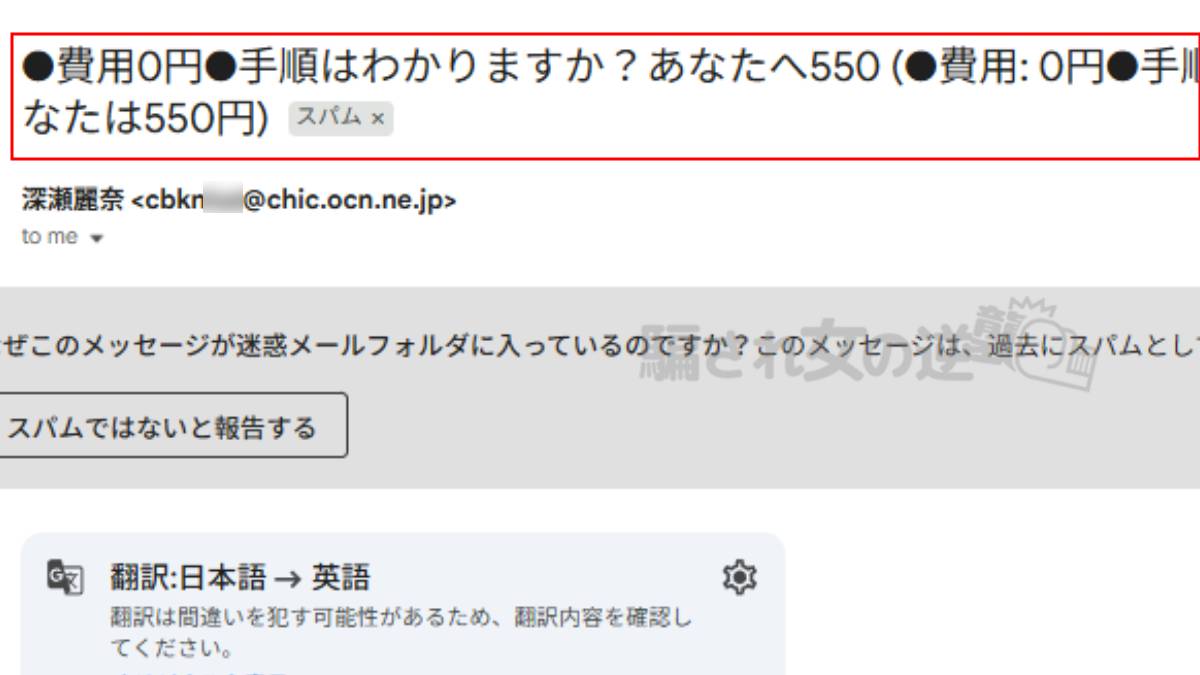 深瀬麗奈からの迷惑メール