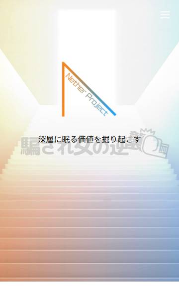Nether Projectの公式サイト