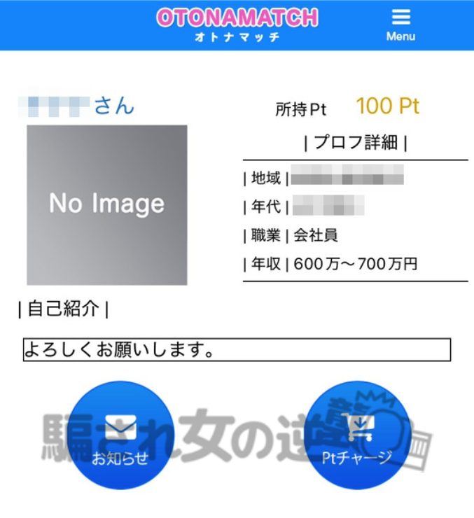 オトナマッチのプロフィール