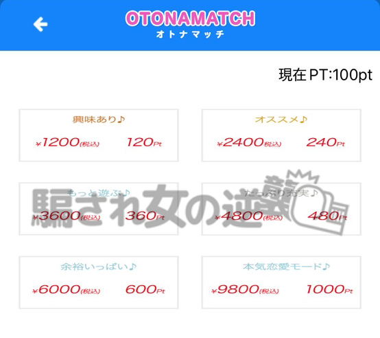 オトナマッチのポイント表