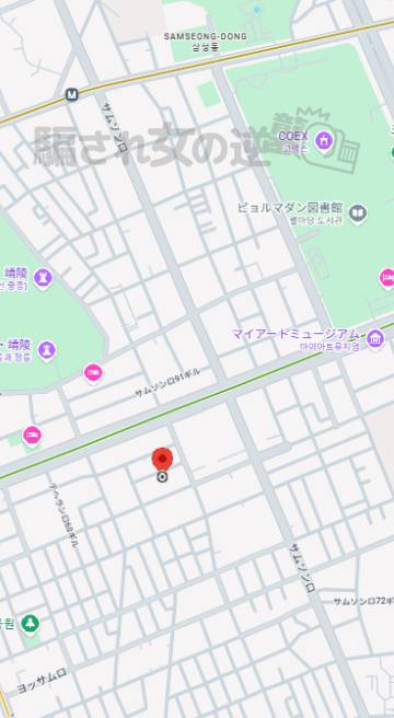 TPC INTERNET INC. 近隣地図